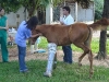 clinicadorancho018 clinicadorancho018