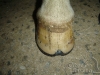 clinicadorancho198 clinicadorancho198