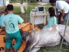 clinicadorancho040 clinicadorancho040
