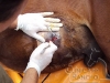 clinicadorancho044 clinicadorancho044