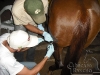 clinicadorancho089 clinicadorancho089