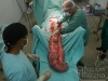 clinicadorancho101 clinicadorancho101