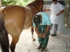 clinicadorancho124 clinicadorancho124