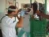 clinicadorancho137 clinicadorancho137