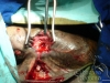 clinicadorancho155 clinicadorancho155