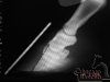 clinicadorancho170 clinicadorancho170