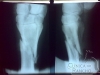 clinicadorancho176 clinicadorancho176