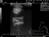 clinicadorancho191 clinicadorancho191