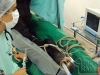 clinicadorancho003