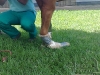 clinicadorancho006