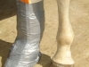 clinicadorancho007