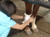 clinicadorancho012