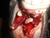 clinicadorancho026