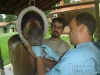 clinicadorancho027