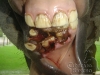 clinicadorancho028