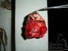 clinicadorancho036