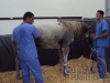 clinicadorancho053