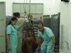 clinicadorancho075