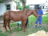 clinicadorancho088