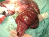 clinicadorancho113 clinicadorancho113