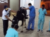 clinicadorancho118