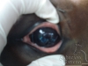 clinicadorancho120