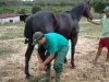 clinicadorancho126