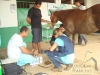 clinicadorancho138 clinicadorancho138