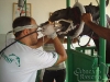 clinicadorancho140