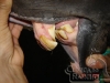 clinicadorancho149