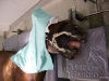 clinicadorancho159