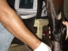 clinicadorancho165