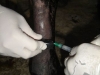 clinicadorancho168