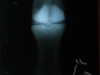 clinicadorancho172