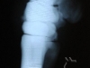 clinicadorancho174 clinicadorancho174