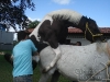clinicadorancho178 clinicadorancho178