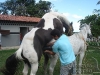 clinicadorancho180 clinicadorancho180