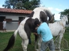 clinicadorancho181 clinicadorancho181