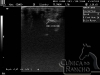 clinicadorancho182 clinicadorancho182