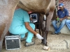 clinicadorancho187