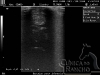 clinicadorancho190